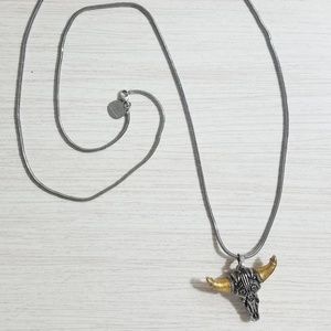 Alex And Ani Horn Necklace 2025